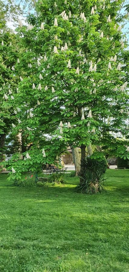 Saint-Elix-le-Chateau B&B Le Domaine Des Marcoujans المظهر الخارجي الصورة